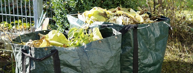 Natuurgebieden bedreigt door gedumpt tuinafval | Afvalcontainerbestellen.nl